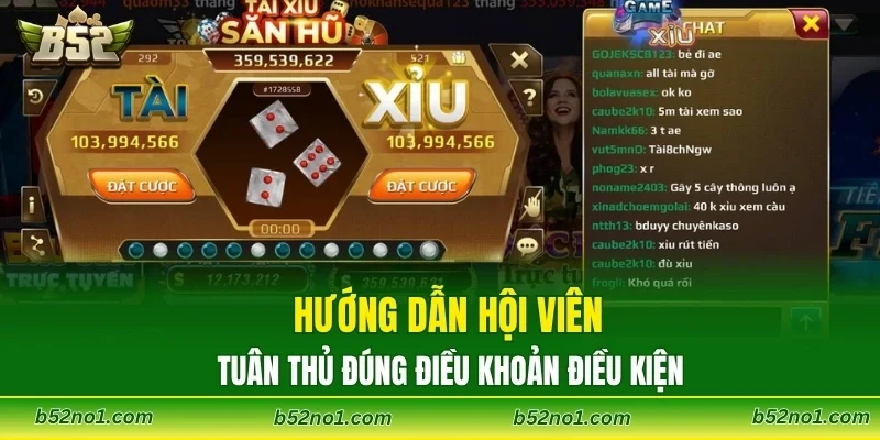 Hướng dẫn hội viên tuân thủ đúng điều khoản điều kiện